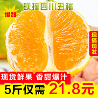 四川丑橘5斤装65-75mm 果园直采早熟头茬 水果新鲜发货