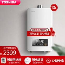 东芝(TOSHIBA)  13L燃气热水器家用天然气 三维变频恒温防冻 日本原装进口CPU 无氧铜水箱 JSQ25-TS1 极地白