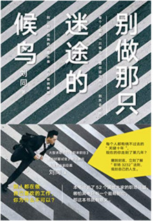 《别做那只迷途的候鸟》Kindle电子书