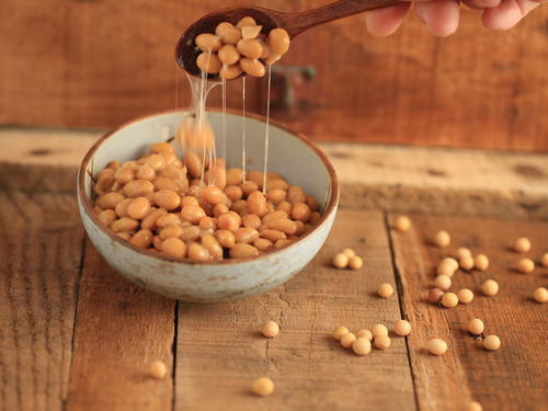 了解传统美味的发酵食品——纳豆