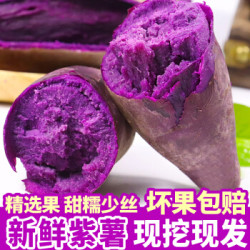 新鲜红薯 紫薯新鲜小紫薯农家山东紫罗兰紫薯番薯红薯沙地紫薯番薯地瓜山芋香薯紫心蔬菜精选紫薯净重9斤中果 什么值得买