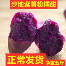板栗红薯 紫薯新鲜10沙地番薯地瓜山芋农家自种紫心板栗红薯5斤装带箱包邮 什么值得买
