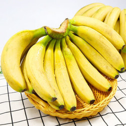 倾穆華 云南自然熟香蕉 带箱10斤