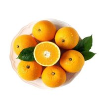 麻阳冰糖橙 新鲜橙子水果 现摘现发 果园直发 5斤装 *10件