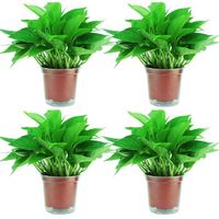 移动专享：SIBAOLU 斯宝路 绿萝盆栽植物 吸水绿萝4盆装(限时)