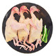 农谣 鸽子肉 新鲜乳鸽 3只装杀前约1500g 农家鸽子肉 其他禽类现杀 *2件