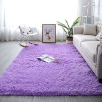 SIBAOLU 斯宝路 丝毛居家地毯 浅紫色 40*60cm