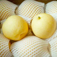 秦盛 陕西蒲城酥梨净重 4.5斤