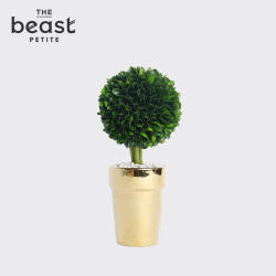 THE BEAST 野兽派 幸福树 永生花树