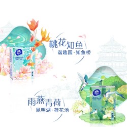 Vinda 维达 颐和园联名款手帕纸 4层*5片*72包