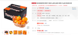 杨氏赣南脐橙 鲜橙子 精选5kg装礼盒装 单果240g起 新生鲜水果 *2件