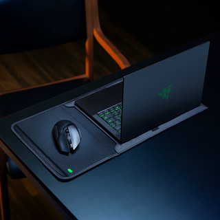 RAZER 雷蛇 V2 笔记本电脑信封内胆包