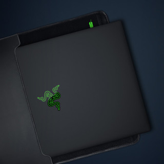 RAZER 雷蛇 V2 笔记本电脑信封内胆包