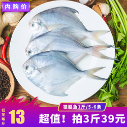 速鲜 冷冻新鲜小平鱼银鲳鱼烧烤  500g/5-6条 *3件