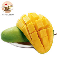 芒果 越南青芒果 玉芒 新鲜水果生鲜 应季水果 单果200g以上 3斤试吃装