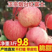 山东烟台苹果栖霞红富士大果整箱新鲜 净重3斤(尝鲜果）