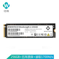 BIWINTECH 佰微 256G 固态硬盘 M.2接口（NVMe协议）