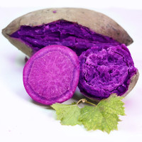 红高粱 山东新鲜紫薯 中果 10斤