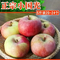 小国光苹果笨苹果果正宗老式国光苹果瓦房店丑苹果孕妇果3/5/10斤
