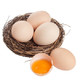 京东PLUS会员：静益乐源 农家新鲜鸡蛋 10枚装 *4件
