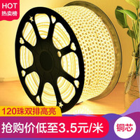 简旭 灯带led三色变光七彩灯条遥控客厅吊顶光带双排高亮户外防水220V灯带 120珠双排高亮单色【暖光】