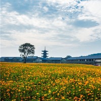 年夜饭订起来！上海-无锡 3天2晚跟团游（含住宿+早晚餐+年夜饭+景区门票）