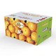 杨氏赣南脐橙 鲜甜橙子 精选3kg铂金果礼盒装 单果210g起 新生鲜水果 *3件