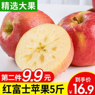 红富士苹果5斤 现货 时令新鲜水果 生鲜丑苹果 4.5-5斤（果径约75-80mm) *2件
