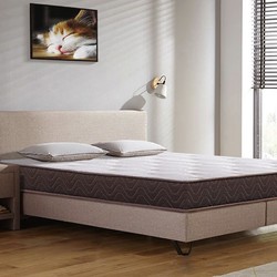 CatzZ 瞌睡猫 泰国天然乳胶弹簧床垫 150*200*22cm
