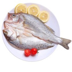 uXian 速鲜 新鲜三去活冻白蕉海鲈鱼 400g*3
