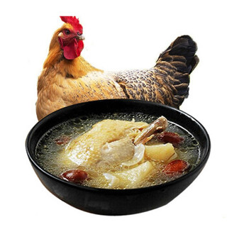 信趣优 老母鸡 土鸡 1.25kg老母鸡（带内脏）