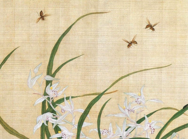 《花鸟册之7》余樨 水墨画国画 装饰画挂画 茶褐色 58×55cm