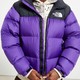 超值黑五、银联爆品日：THE NORTH FACE 北面 1996 Retro Nuptse Puffer 中性款羽绒服