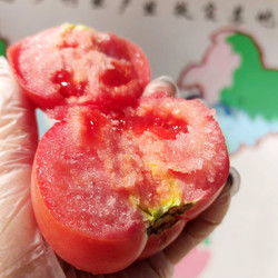 依禾农庄沙瓤西红柿5斤