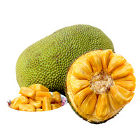 益优果 海南三亚新鲜水果 菠萝蜜黄肉1个整个果 20-25斤