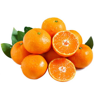 京觅  东海 涌泉蜜桔橘子 3kg