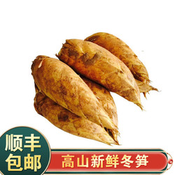 福建冬笋新鲜竹笋高山野生雷竹笋笋农产品蔬菜3/5斤