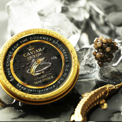 caviarqueen卡维亚西伯利亚鲟鱼子酱30g施氏鲟鱼子酱10g