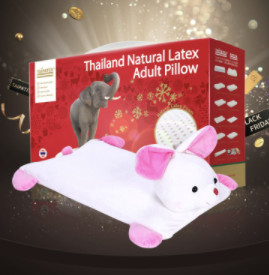 TAIPATEX 泰国天然乳胶儿童多功能枕头