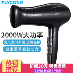 飞科（FLYCO）电吹风机家用冷热风大功率吹风筒大风吹飞机2000W 极光黑