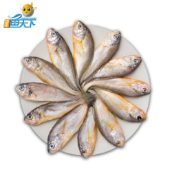 中洋鱼天下 舟山小黄鱼 8-12条 500g *24件