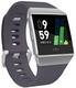 Fitbit 健身 智能手表 iONIC 心率 * 个人角落 配备GPS 耐水性能FB503WTGY-CJK 蓝灰/白色