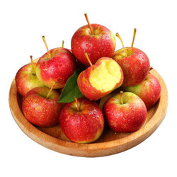 约巢东北海棠果大秋果特产水果新鲜小苹果糖心非沙果酸甜脆 2斤龙丰果