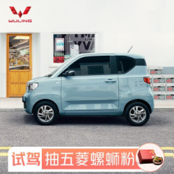 定金 五菱宏光MINIEV 试驾抽螺蛳粉  星空蓝 宏光MINI EV