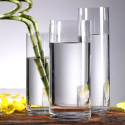 特大号花瓶玻璃透明高60cm插花银柳富贵竹50厘米直筒落地 口径10高度20厘米(一级)