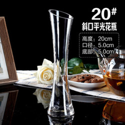 百搭花瓶小清新玻璃花瓶单支插花百合透明现代时尚 20平光斜口 默认