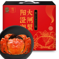 蟹众 阳澄湖大闸蟹 公蟹4.0两/只 母蟹3.0两/只 4对8只