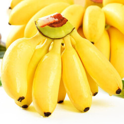 广西香甜小米蕉9斤/5斤/3/1斤小鸡蕉/芭蕉/小香蕉/当季新鲜水果皇帝蕉 小米蕉三斤