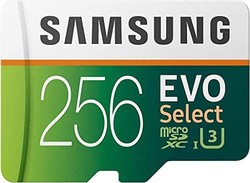 三星 EVO Select UHD 内存卡带适配器 256 GB