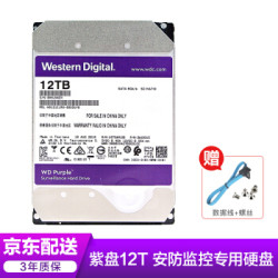 西部数据(WD)紫盘 12T 企业安防监控录像机械硬盘SATA6Gb/s WD121EJRX